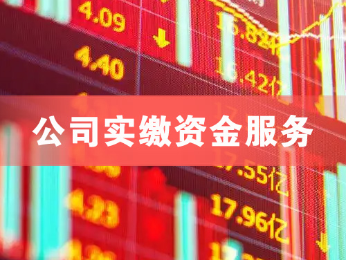 德惠公司实缴资金服务